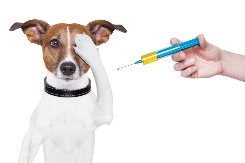 deworming.jpg